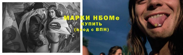 прущие грибы Белоозёрский