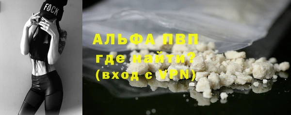 прущие грибы Белоозёрский