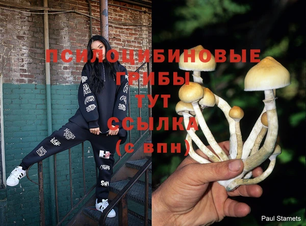 прущие грибы Белоозёрский