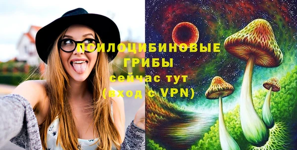 гидра Беломорск