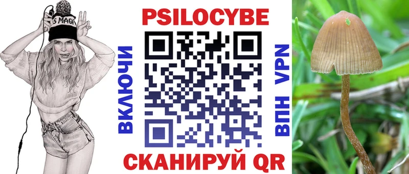 Псилоцибиновые грибы Cubensis  Тулун 